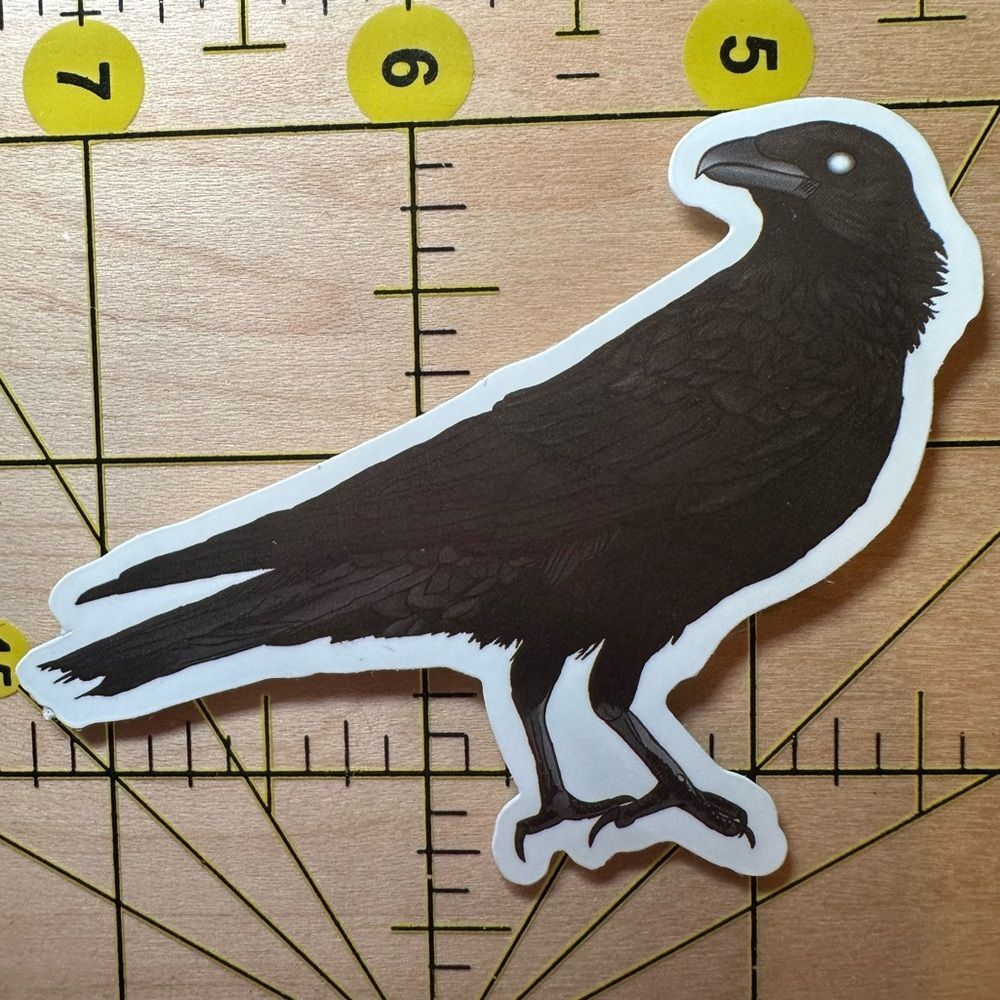 💜13/$13 +Bundle Sticker Sale | Bird Animal Waterproof Sticker